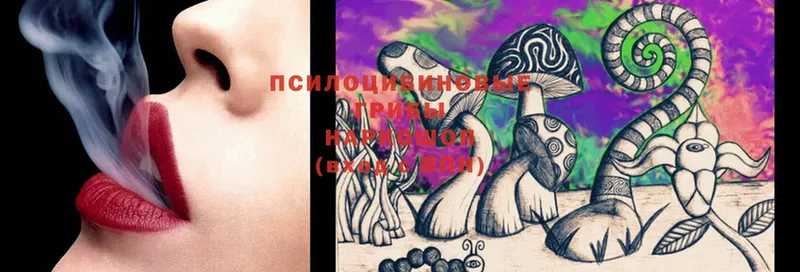 Галлюциногенные грибы Magic Shrooms  что такое наркотик  Кашира 